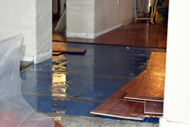 Professional Burst Pipe Cleanup technician working in Hurley, WI